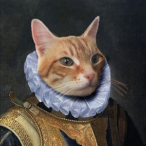 Meet your Posher, Evan